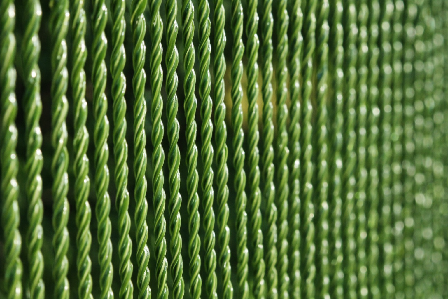 Immagine 2024-07-01 095056